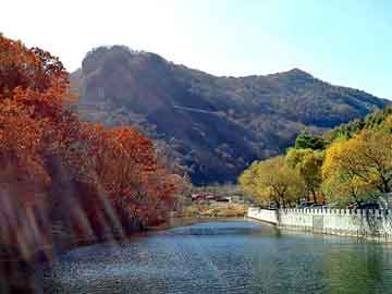 新澳天天开奖资料大全旅游团，红梅树苗